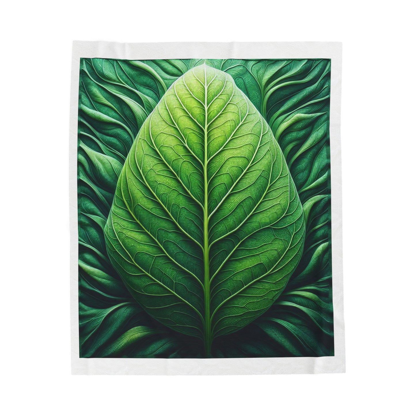 Green Leaf Cabbage Leaf Plant Leaf Velveteen Plush Blanket