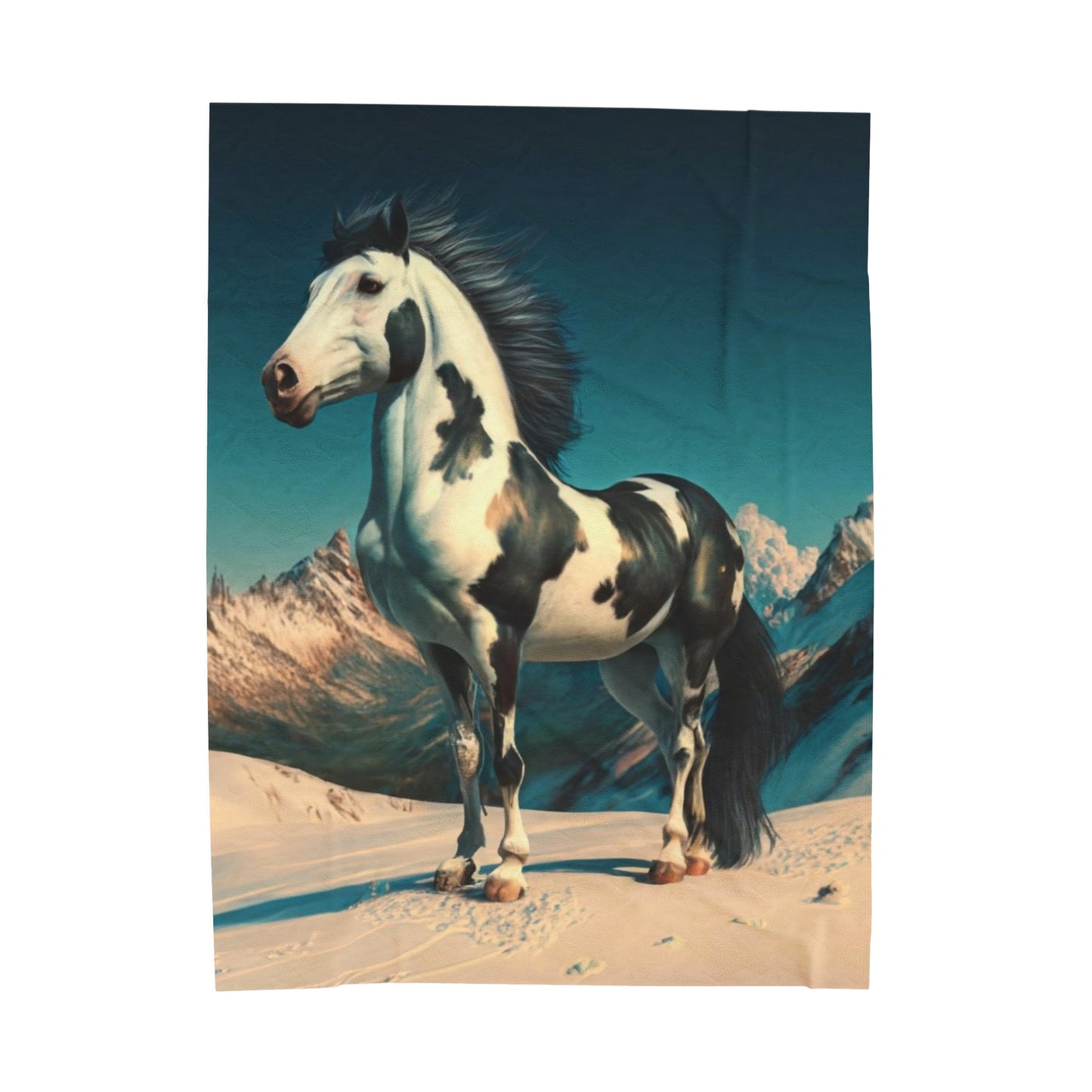 Black and White Paint Horse Velveteen Plush Blanket